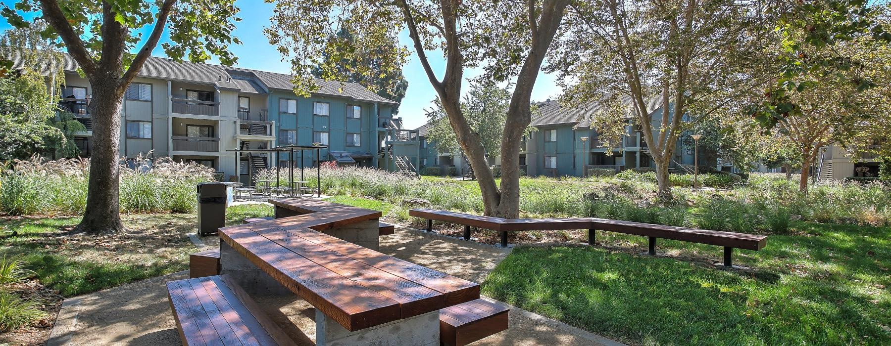 a park with benches and trees