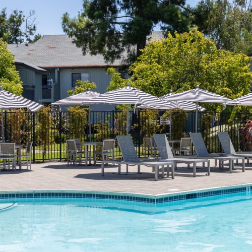 a pool with chairs and umbrellas by it